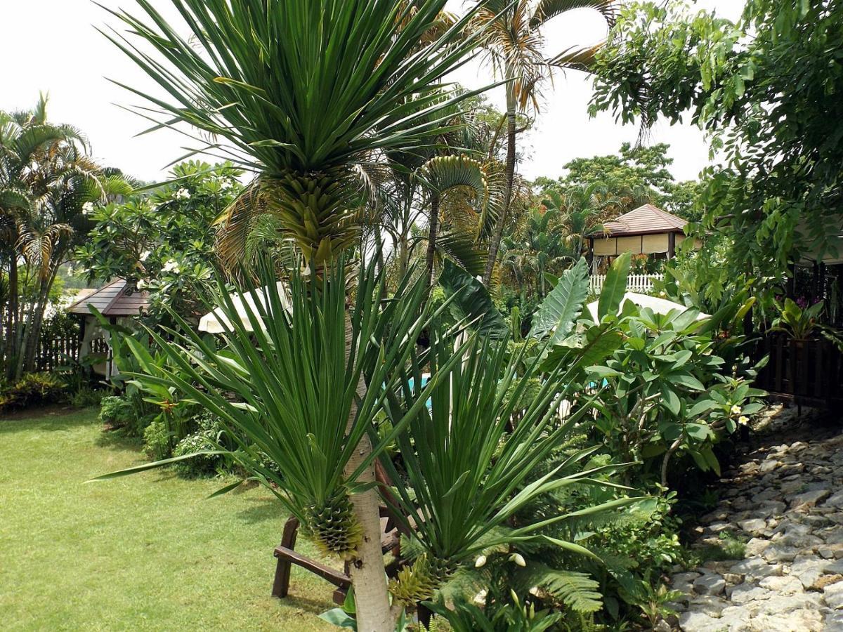 Homestay Chiangrai Chiang Rai Extérieur photo